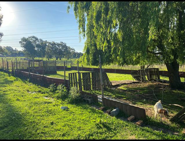 15,170M² SMALLHOLDING FOR SALE IN BENONI AH